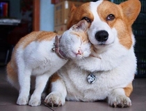 These best friends Even the look in his eyes is adorable