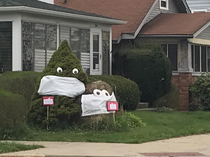 These bushes near my house are taking things seriously