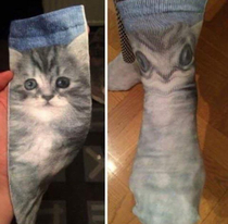 These cat socks