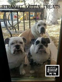 These dogs dropping new album this year