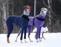 These dogs look like theyre about to unveil the next Apple product