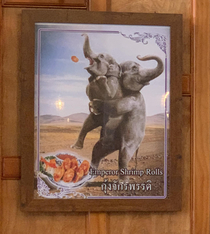 These elephants doing the Heimlich maneuver