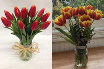 These flowers I ordered online for Mothers Day