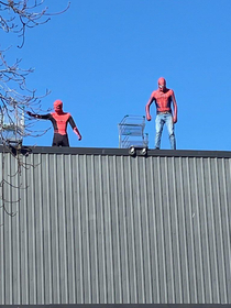 These guys that dress up like Spider-Man and place shopping carts on our school roof 