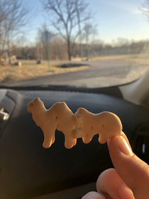 these new animal crackers are great 