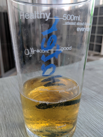 These new glasses my wife bought arent really helping with my drinking problem