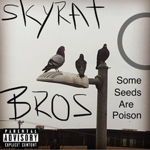 These pigeons I photographed and turned into an album cover