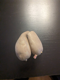 These potatoes are shaped like balls