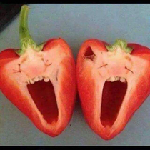 These singing peppers