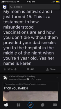 These two reddit posts couldnt have gone together any better on the feed Fuck you Karen indeed