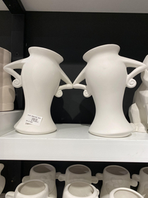These vases look like theyre about to yell at me for something