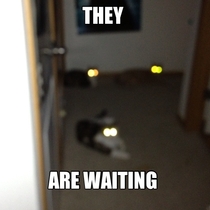 THEY are waiting
