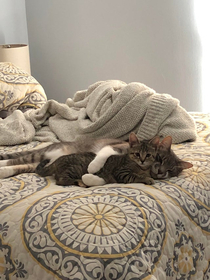 They fight all day but turns out they actually love each other