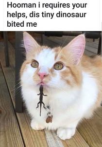 They finally found a use for us