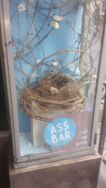 They have some great bars out in Germany