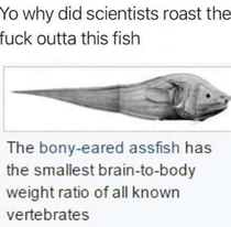 They roasted the shit outta this fish