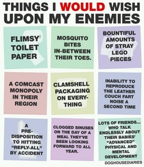Things I would wish upon my enemies