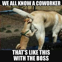 Things we do for appraisal