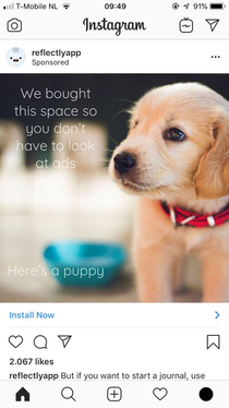 this ad i got on instagram