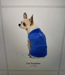 This Amazon model has range