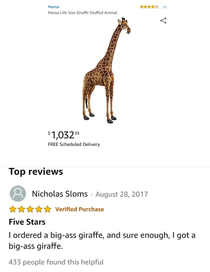 This Amazon Review
