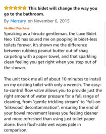 This Amazon review for a bidet