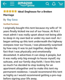 This Amazon review for a dog house