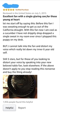This Amazon review of a fan