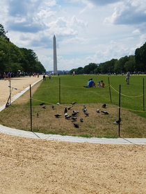 This area was re-seeded and roped off to keep people from walking on it to allow the grass to grow