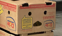 This banana box has seen some shit