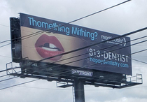 This billboard in Florida is thomething that youd expect to see in GTA
