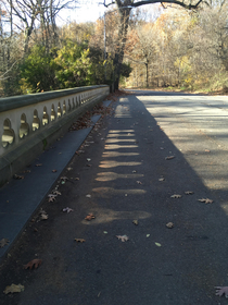 This bridge casts some interesting shadows