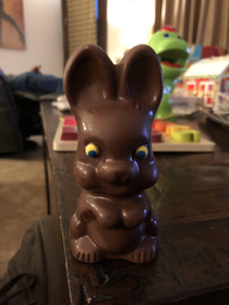 This bunny has seen some shit