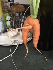 This carrot from my moms garden