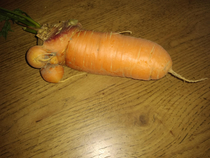 This carrot growing in my yard