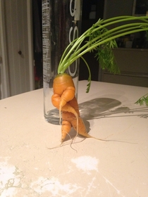 This Carrot is About to Drop a Sick Verse