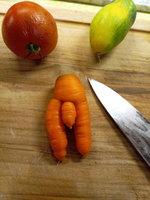 This carrot my wife grew