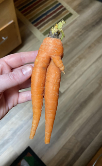 This carrot puts the organ in organic