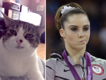 This cat constantly looks like she won silver medal in gymnastics