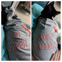 This cat hoodie