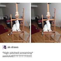This cat was framed