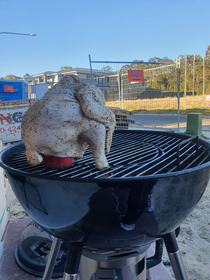 This chicken sitting on the can