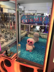 This claw game has one possible prize