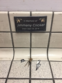 This cricket had been dead at work for over a week so we made him a memorial