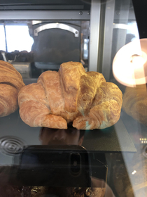 This croissant looks like it called me in to talk to me about something