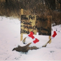 This dead deer has been outside of my small town in Wisconsin for about  weeks now Someone keeps changing its style of footwear every few days The sign is new