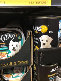 This dog on the ALDI brand dog food is visibly less impressed with his meal compared with the name-brand doggo
