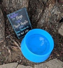 This dog water bowl with sign out the front of a shop