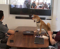 THIS ENTIRE MEETING COULD HAVE BEEN AN EMAIL