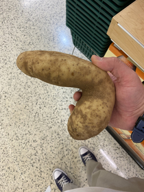 This exceptionally well endowed potato